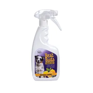 Best Buds Pet Stain & Odour Remover Spray - 500ml