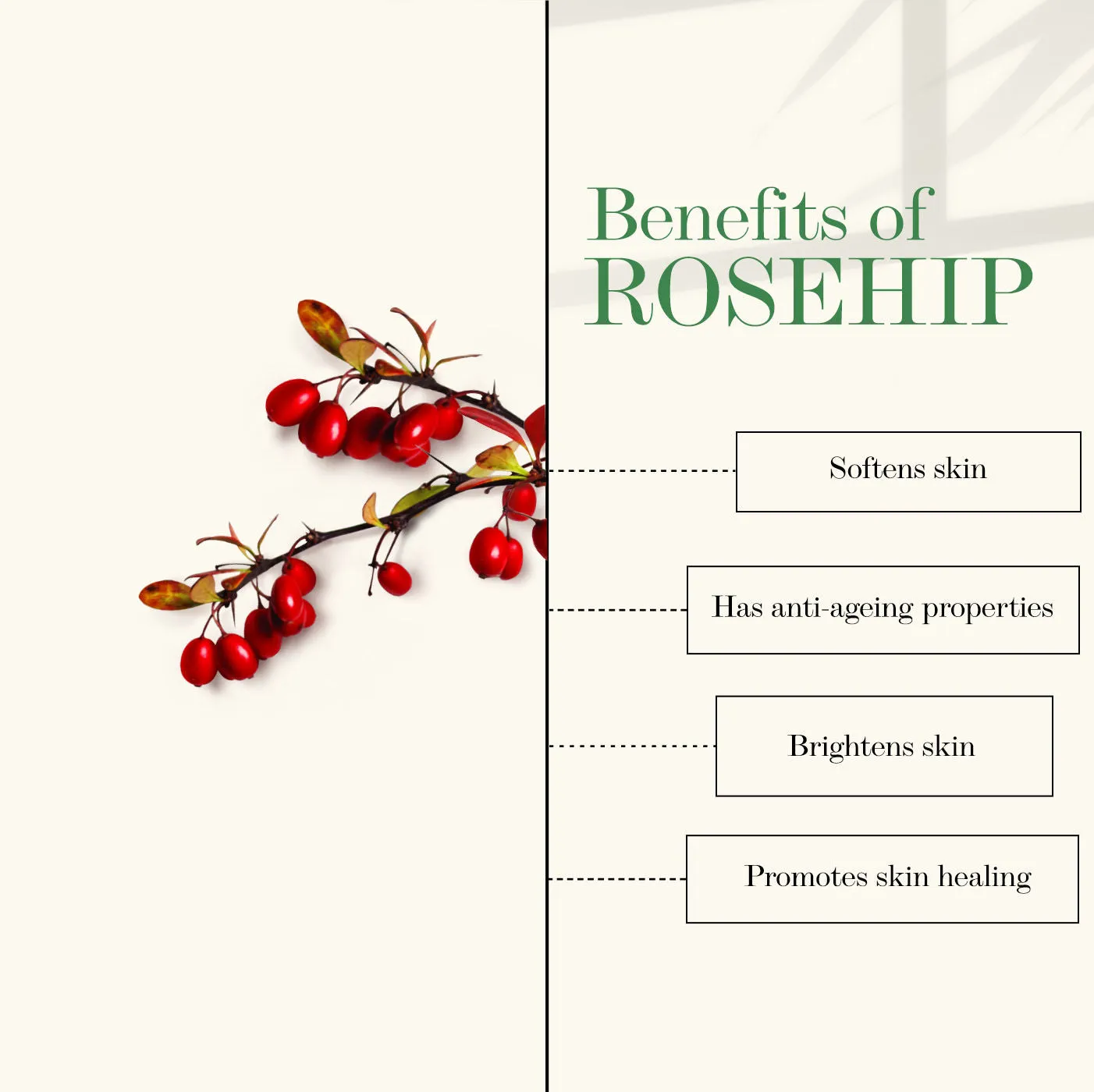 Rosehip Skin Glow Face Scrub With Almond Oil